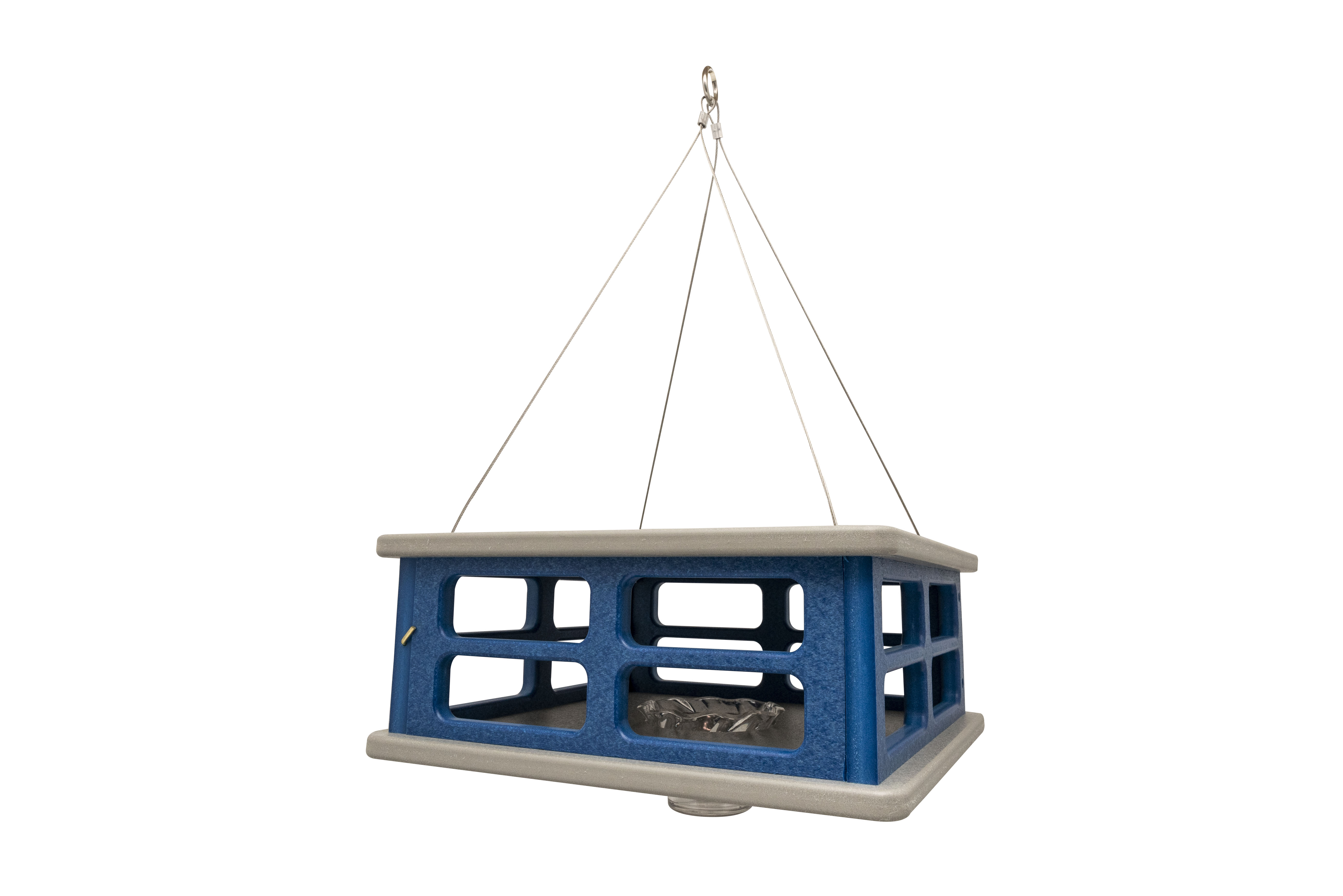 Bluebird Feeder #3